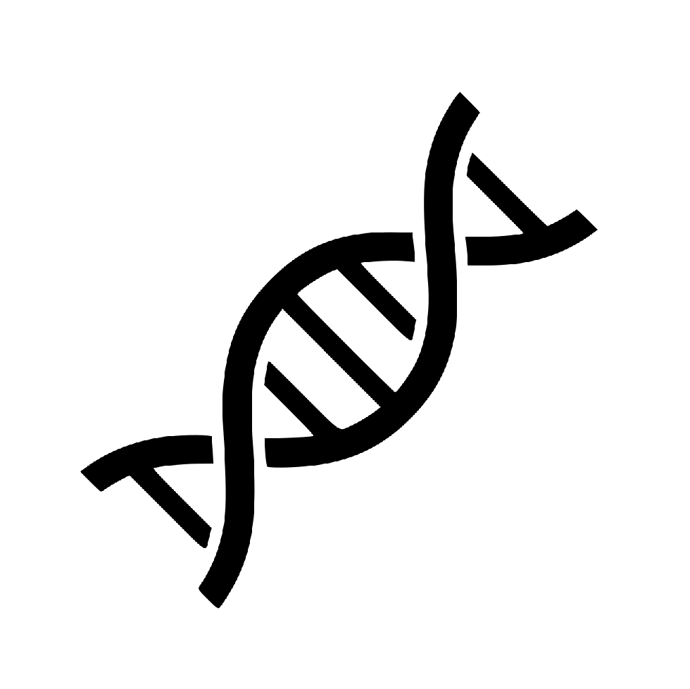 DNA Visualizer