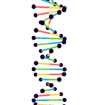 DNA Visualizer